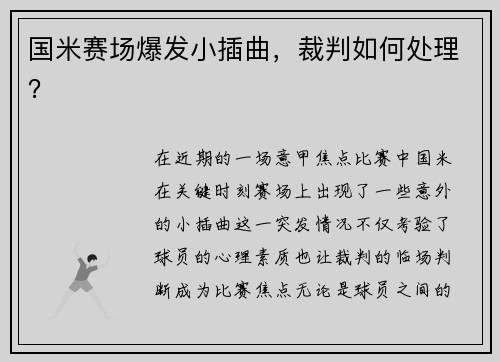 国米赛场爆发小插曲，裁判如何处理？